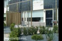 Onderhoudsarme voortuin met veel bestrating en grind en leibomen 2