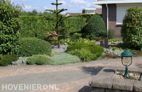 Voortuin met apenboom en waterornament 1