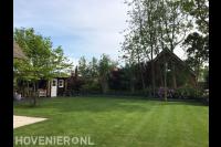Achtertuin met groot gazon