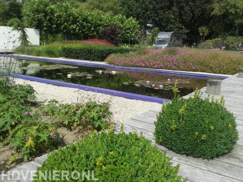 Moderne tuin met vijver en veel groen 2