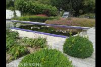 Moderne tuin met vijver en veel groen 2