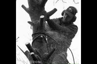 Boom kappen met behulp van klimtechnieken 2