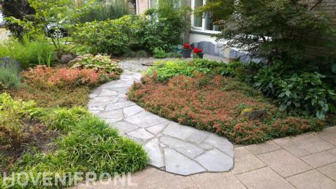 Pad van flagstones tussen kleurrijke borders