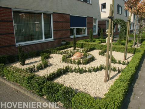 Onderhoudsvriendelijke voortuin met buxus en grind