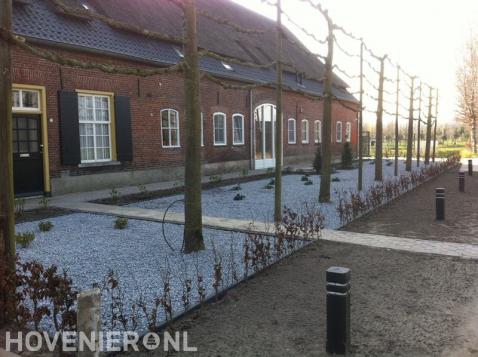 Onderhoudsarme boerderijtuin met leibomen 1