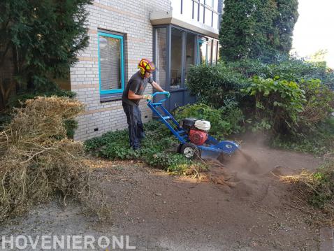 Boomstronk verwijderen met stobbenfrees