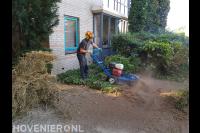 Boomstronk verwijderen met stobbenfrees