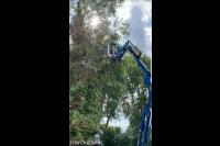 Boom verwijderen met inzet van hoogwerker 2