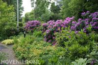 Kleurige bloementuin