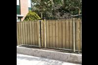 Leibomen in plantenbakken voor houten schutting