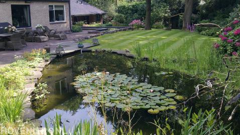 Achtertuin met vijvers, gazon en terras