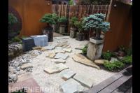 Oosterse tuin met waterloop, stapstenen en bonsai bomen 2