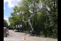 zagen/snoeien met een hoogwerker