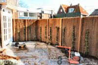 Plaatsen van schutting met heidematten en klimop 2