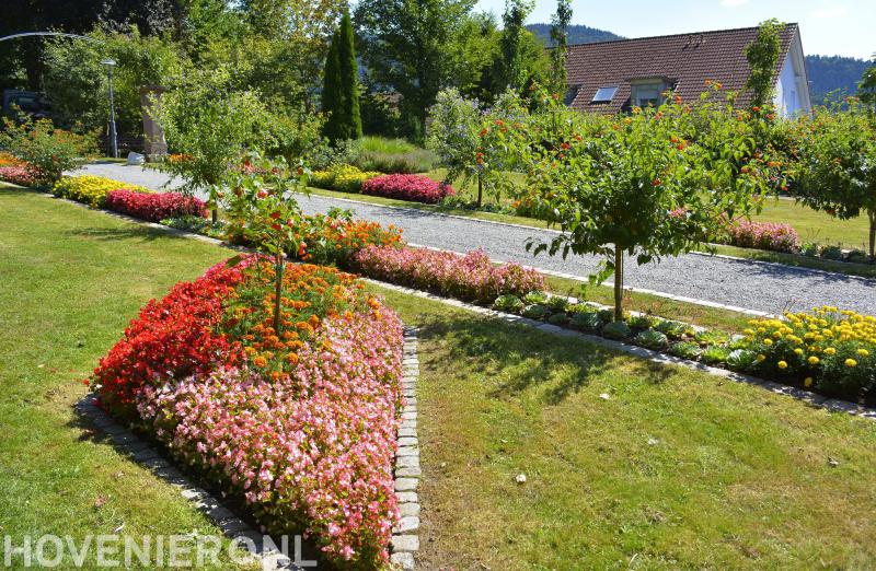 Hoveniersbedrijf N. Slappendel & Zn. V.O.F.