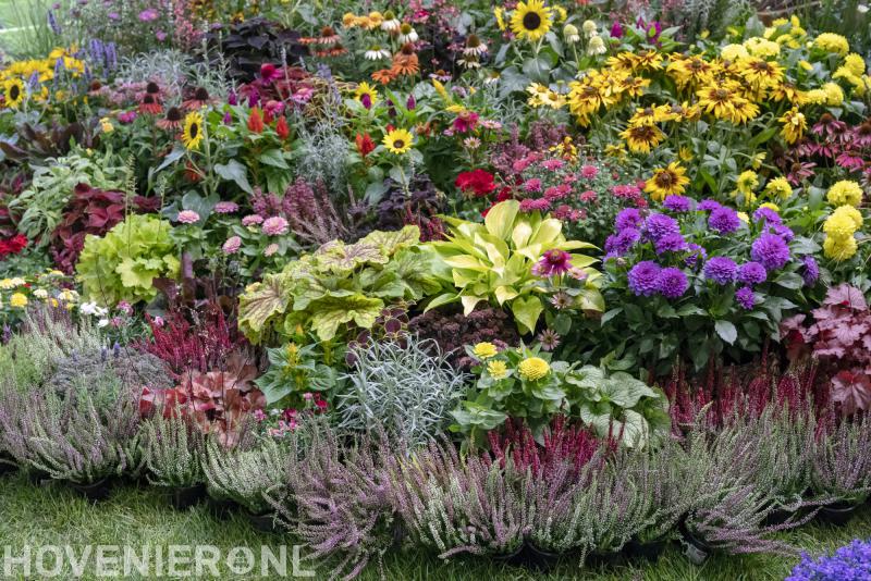 Bloemhof Hoveniersbedrijf