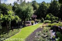 Landelijke tuin met veel groen en kleurrijke planten