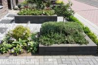 Compacte voortuin met plantenbakken en split