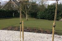 Groot gazon aanleggen met graszoden