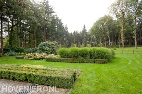 Landelijke tuin met groot gazon, buxushagen, hortensia's en siergras 1