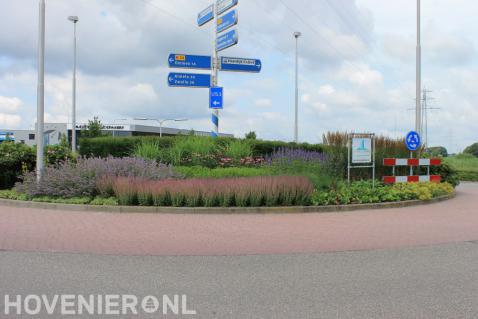 Beplanting van rotonde 1