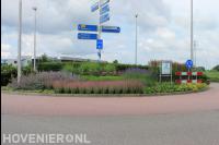 Beplanting van rotonde 1