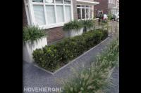 Moderne voortuin met witte bloembakken, siergras en haagplanten