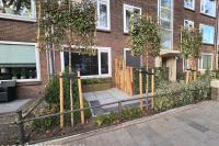 Bosman bouwt, tuinhout en schilderwerken