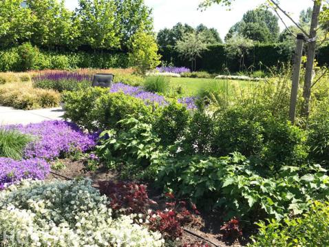 Landelijke tuin met kleurrijk bloeiende planten