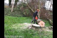 Boom in stukken zagen met kettingzaag