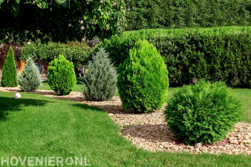 Hoveniersbedrijf 's-Gravemade