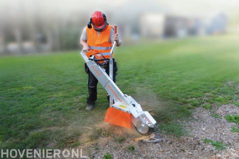 Kleine stobbenfrees