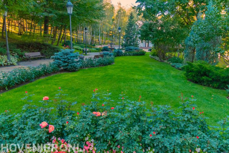 Hoveniersbedrijf P.J. Biever