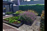 Kleurrijk bloeiende beplanting in plantenbakken