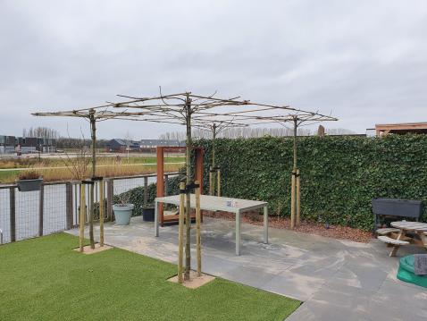 Achtertuin aan het water met pergola