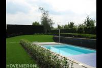 Tuin met bouwkundig zwembad en gazon