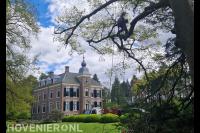 Snoeien op Landgoed Leuvenum