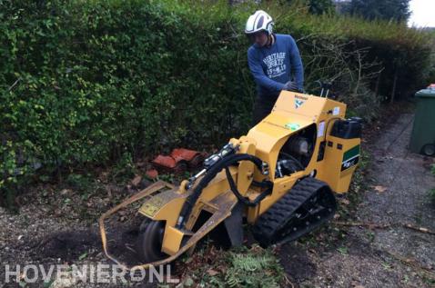 Boomstronk verwijderen met stobbenfrees