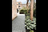 De Nooijer Hoveniers