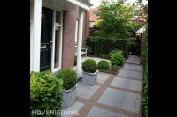 Strakke voortuin met grote tegels, haag en buxusbollen 2