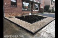 Voortuin aanleggen met grind, nieuwe beplanting en leibomen 2