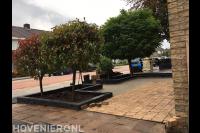 Voortuin aanleggen met bestrating en plantvakken met kleine boompjes