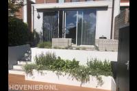 Verhoogd terras met witte plantenbakken en trappetje naar vlonder