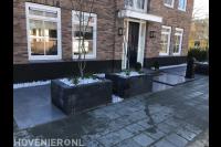Onderhoudsarme voortuin met bestrating en plantenbakken