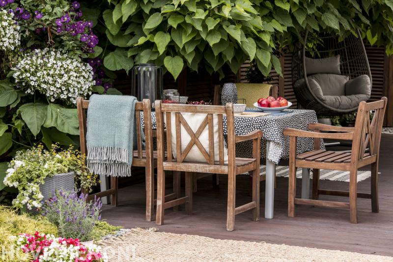 John Sander Hoveniers