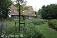 Borders met witte en paarse bloemen