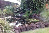 Vijver met waterloop