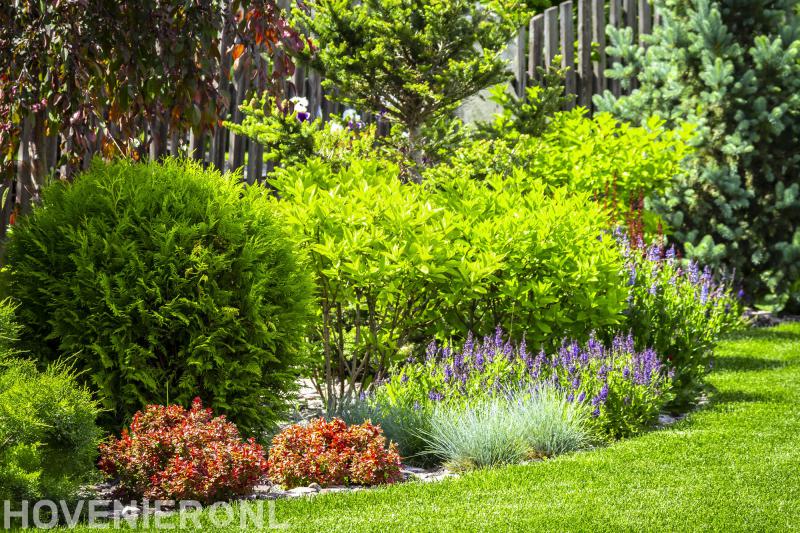 Hovenier Henkes Graven