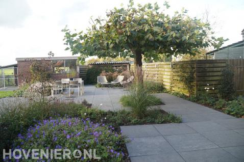 Open tuin met gazon, borders en bestrating van grote betontegels 2