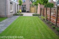 Nieuw gazon in achtertuin